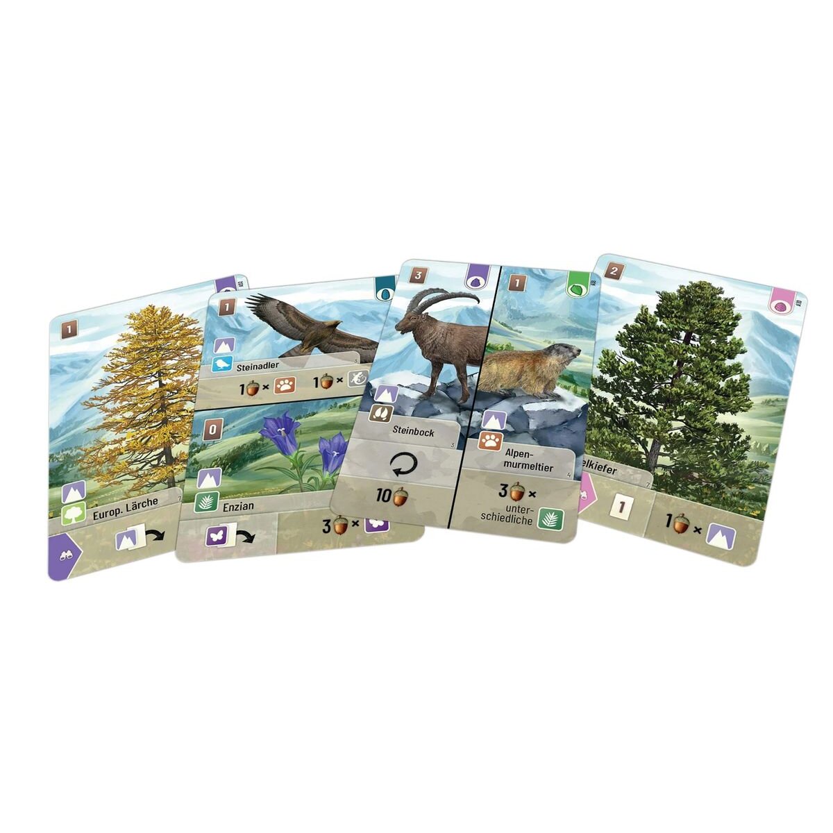 asmodee-mischwald-alpin-2B4FF1EC2.jpg