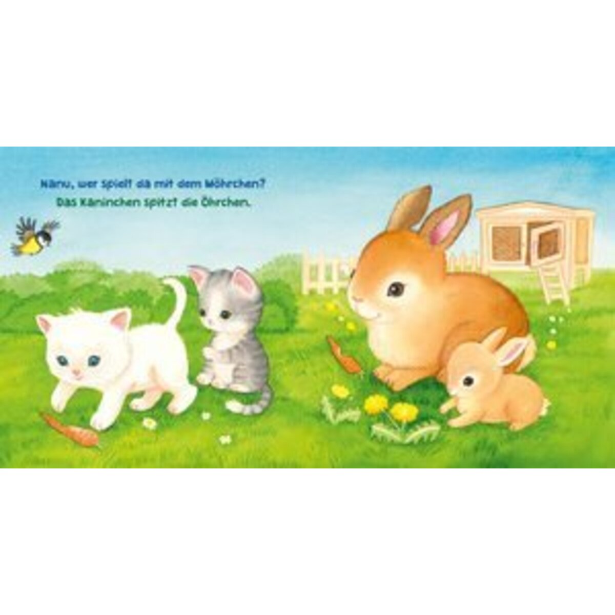 carlsen-verlag-baby-pixi-soft-21EC72B33.jpg