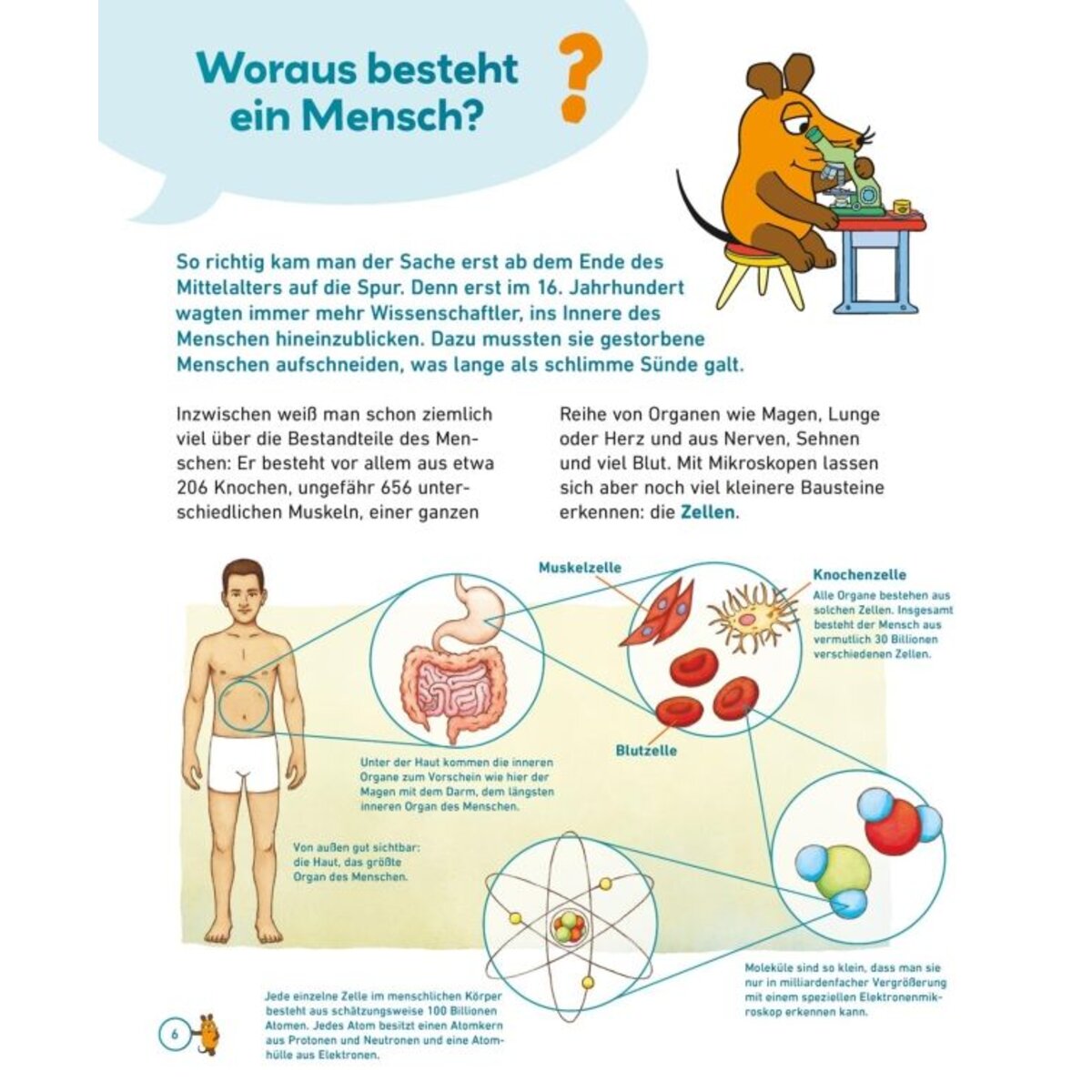 Carlsen Verlag Frag doch mal ... die Maus: Der Mensch