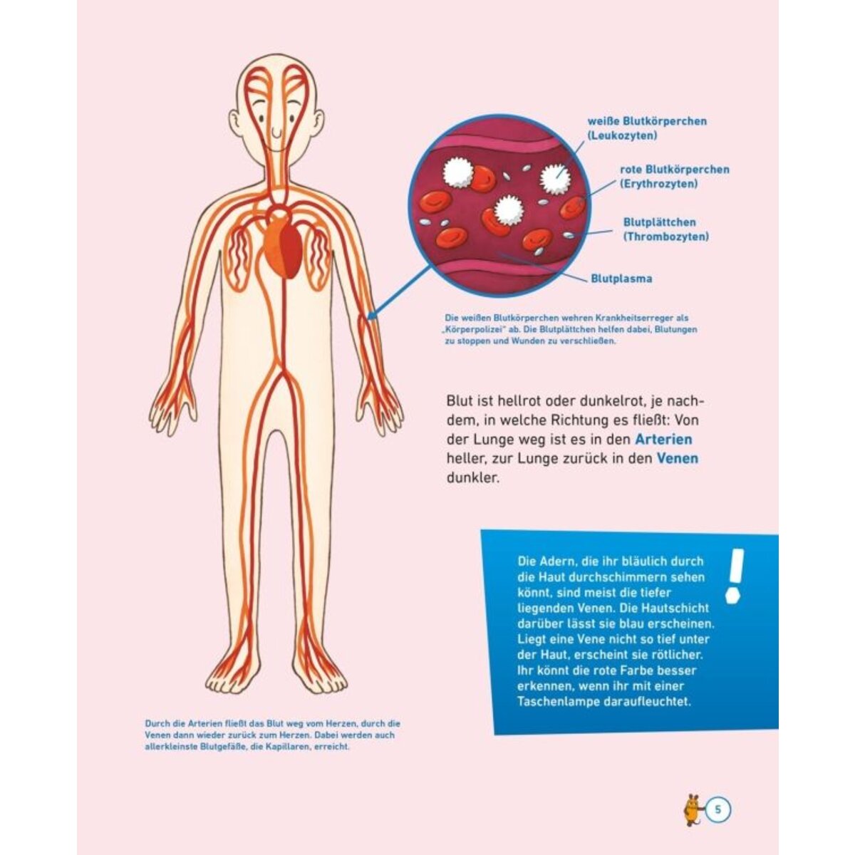 Carlsen Verlag Frag doch mal ... die Maus: Der Körper