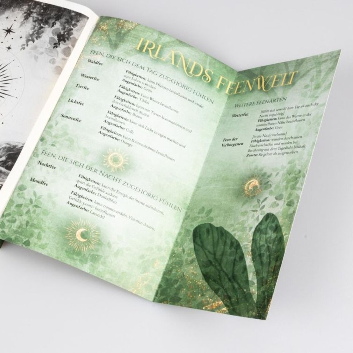 Carlsen Verlag Kuhn, Moonlight Academy. Feenzauber