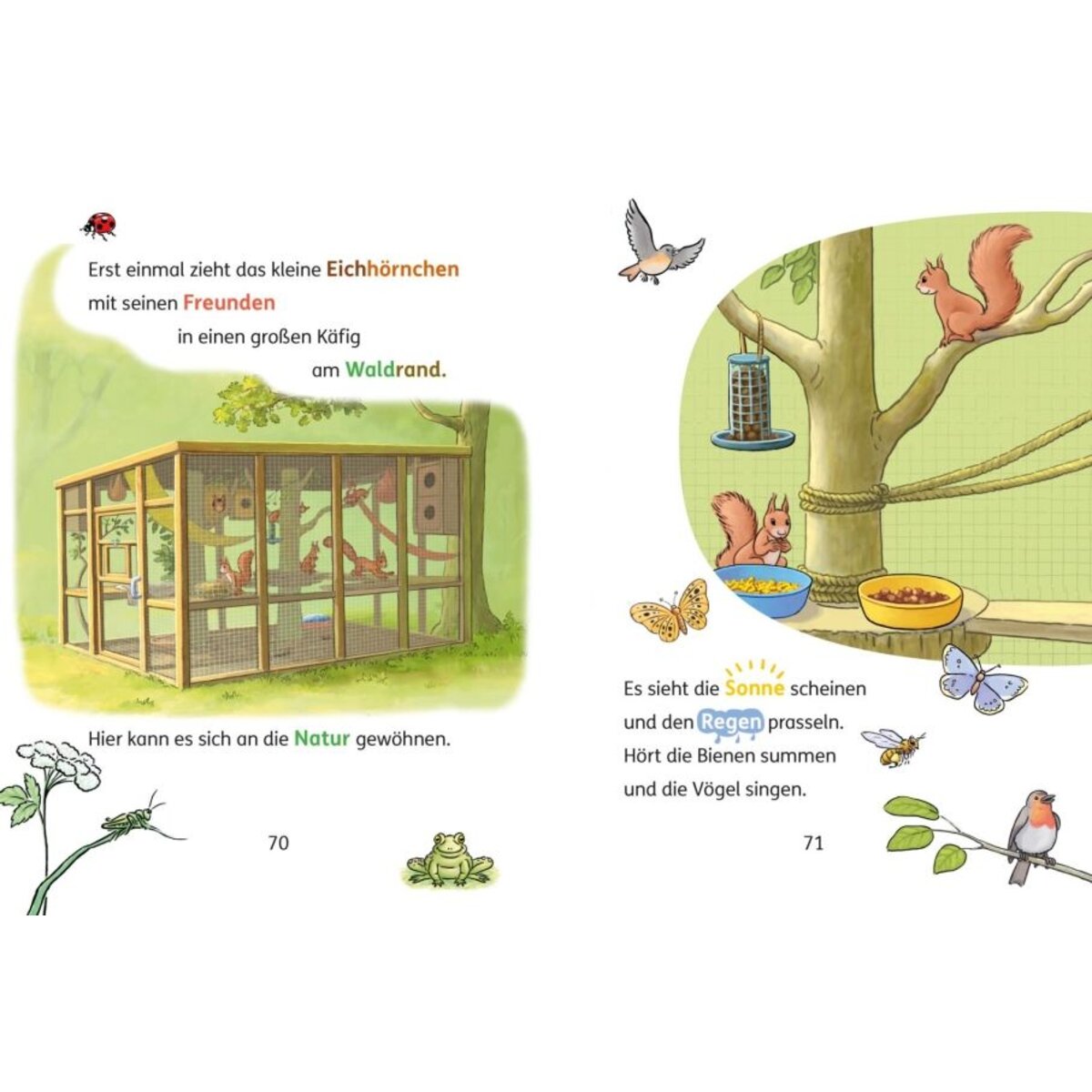 Carlsen Verlag Lesen lernen mit Conni: Conni und das Eichhörnchen