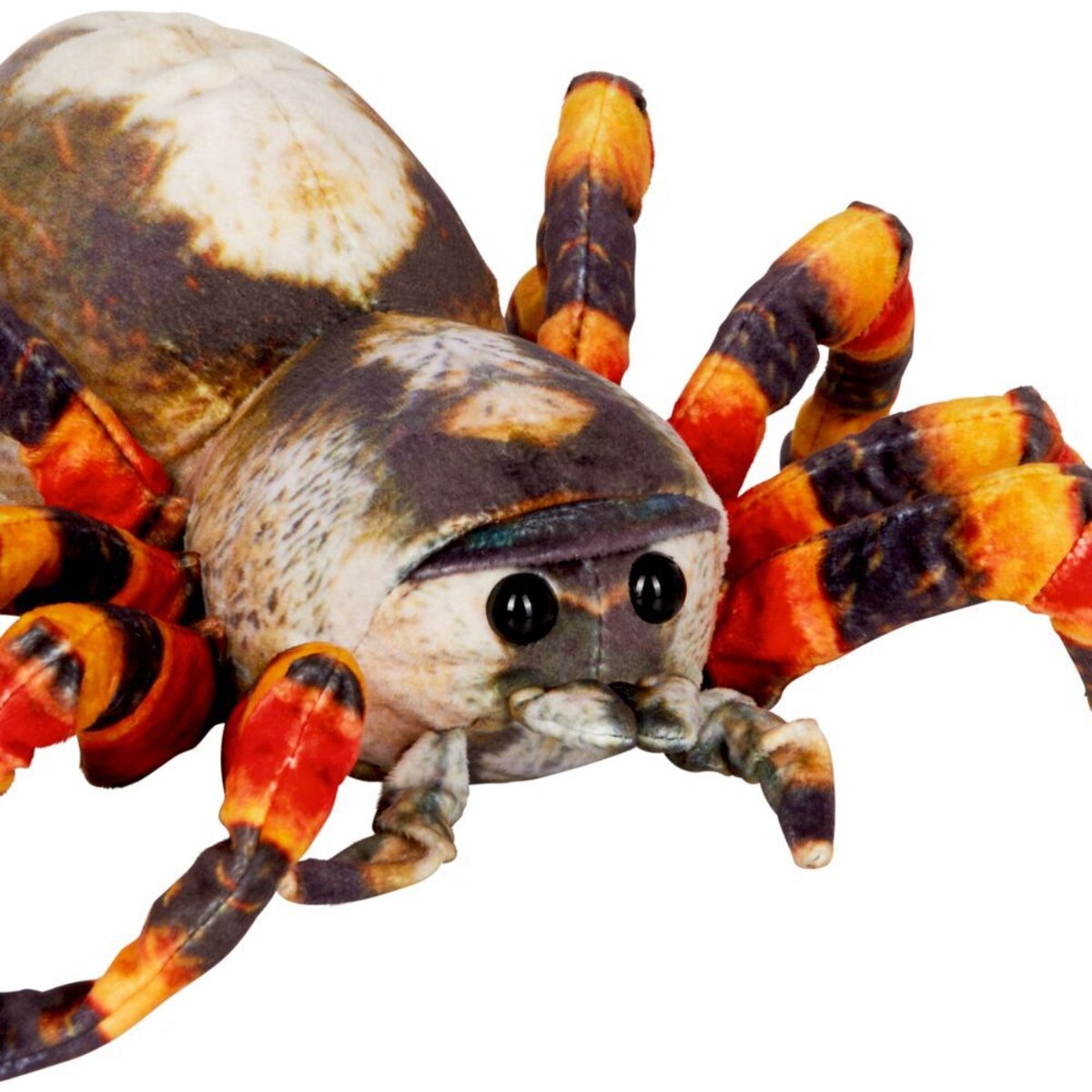 Die Spiegelburg Spinne - Nature Zoom Wild, 37 cm