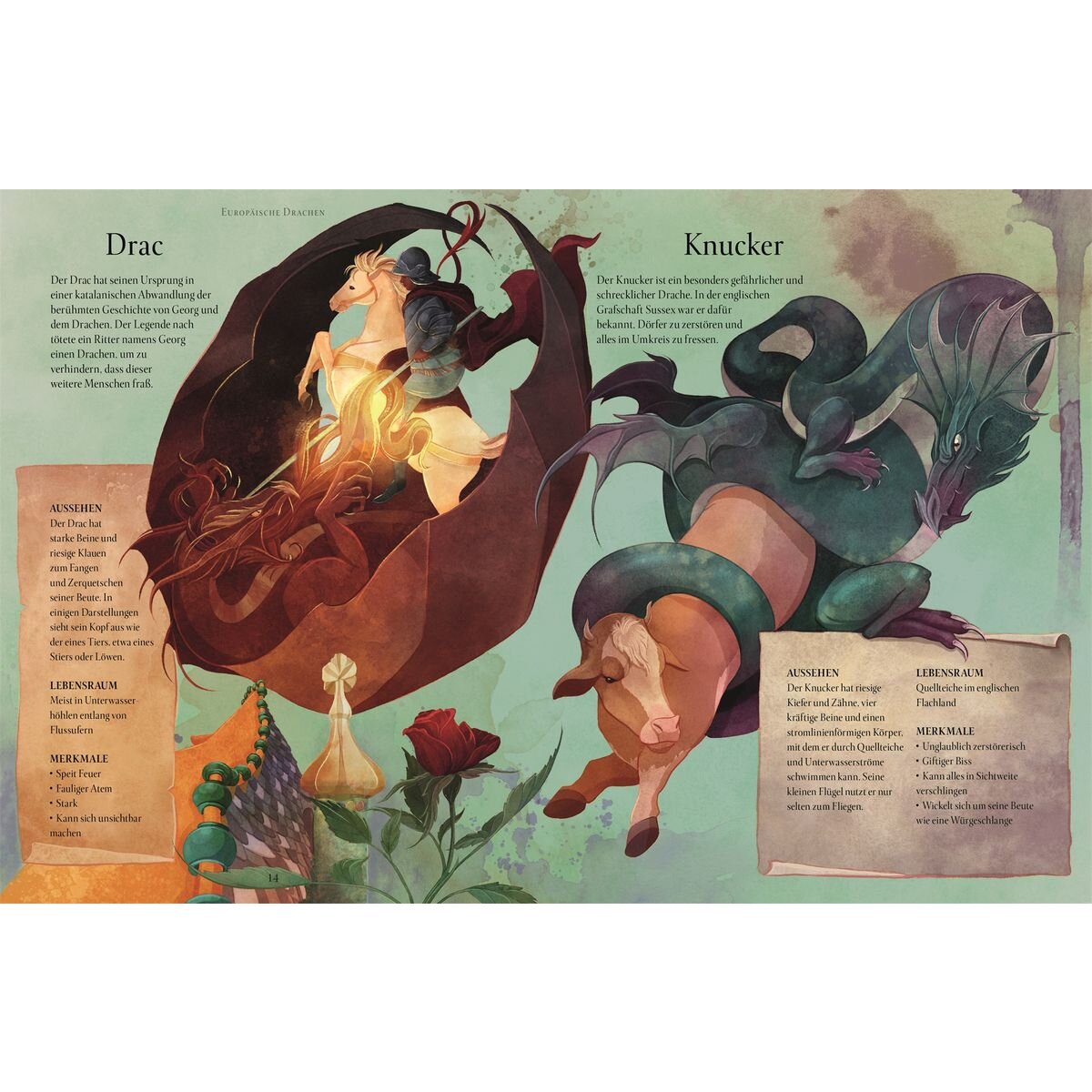 DK Verlag Magische Welt der Drachen