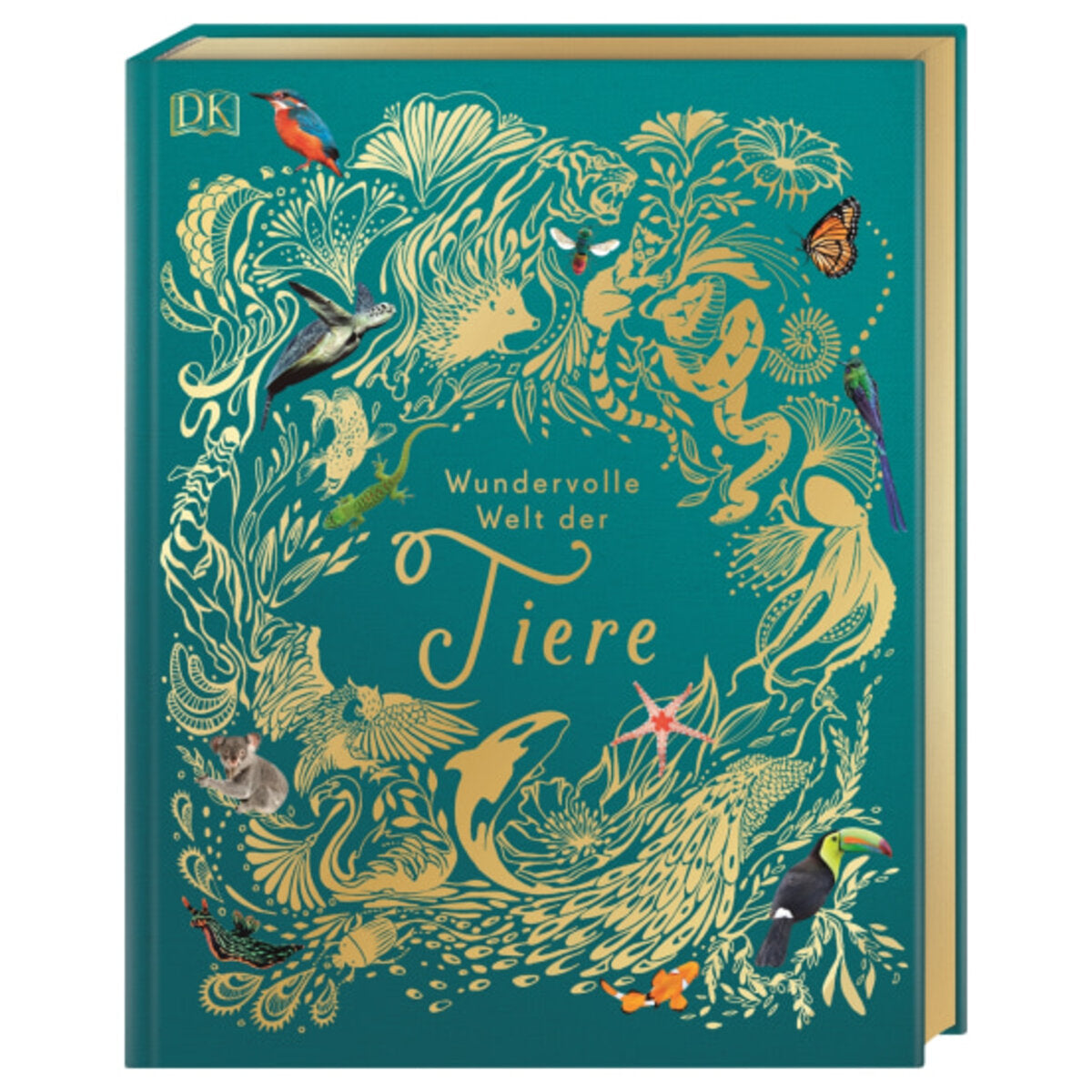 DK Verlag Wundervolle Welt der Tiere