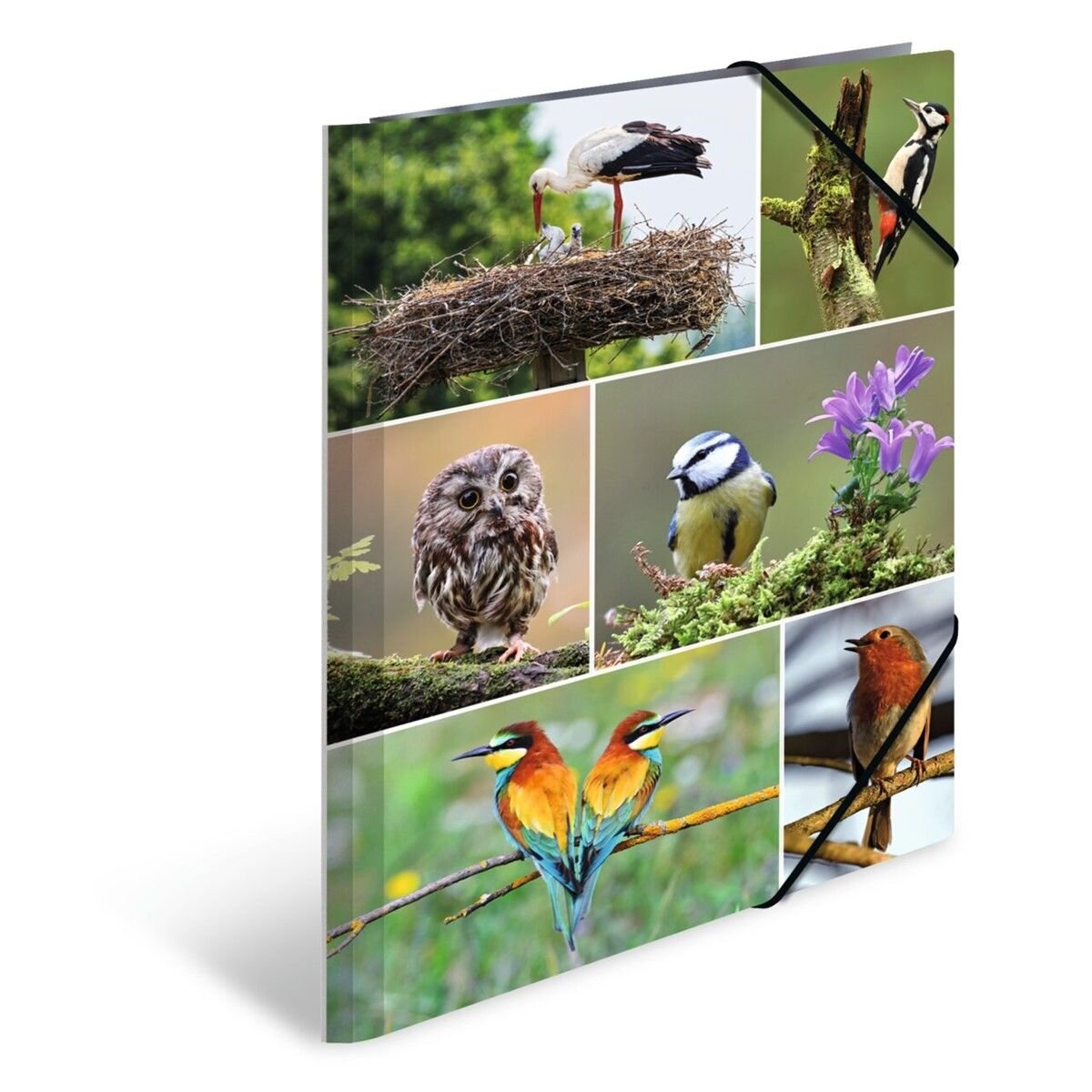 HERMA Sammelmappen A4 Karton Heimatvögel