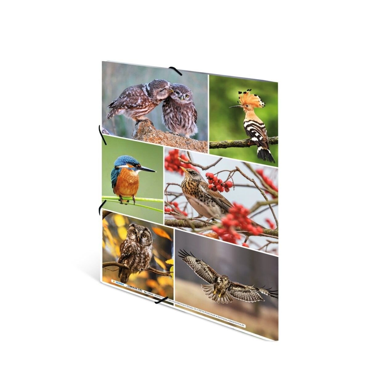 HERMA Sammelmappen A4 Karton Heimatvögel