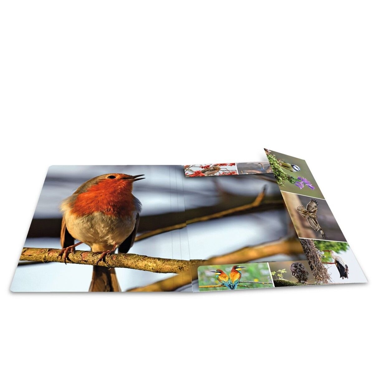 HERMA Sammelmappen A4 Karton Heimatvögel