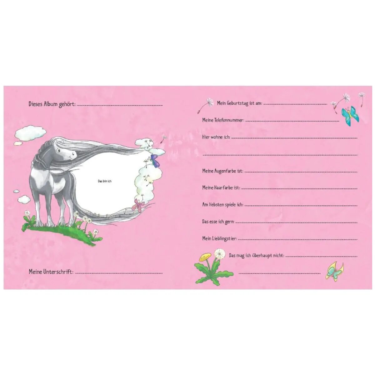 Kaufmann Verlag Meine Kindergarten-Freunde Pony