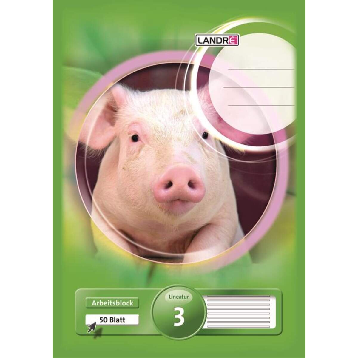 landre-arbeitsblock-a4-liniatur-3-AE386E7E1.jpg