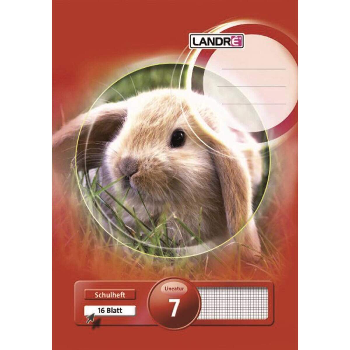 landre-schulheft-a4-kariert-liniatur-FC6B20DB3.jpg