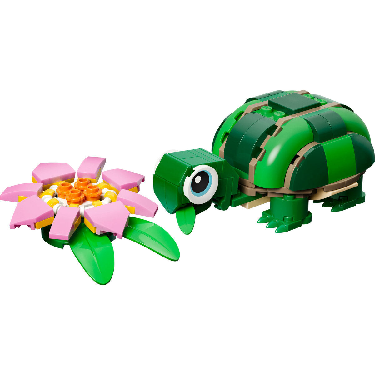 lego-creator-31377-schildkroete-mit-AA4083AC3.jpg