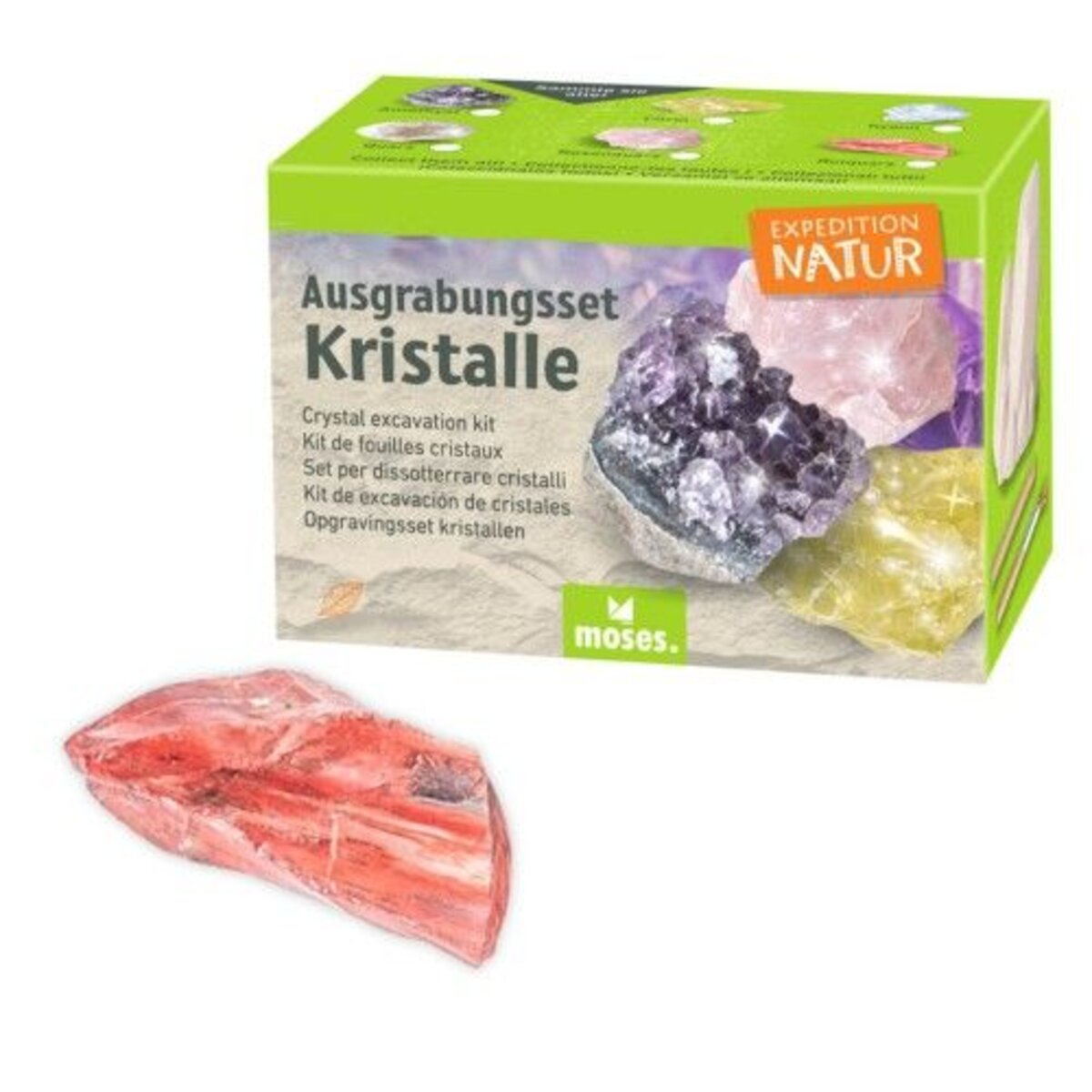 moses. Expedition Natur Ausgrabungsset Kristall, 1 Stück, 6-fach sortiert