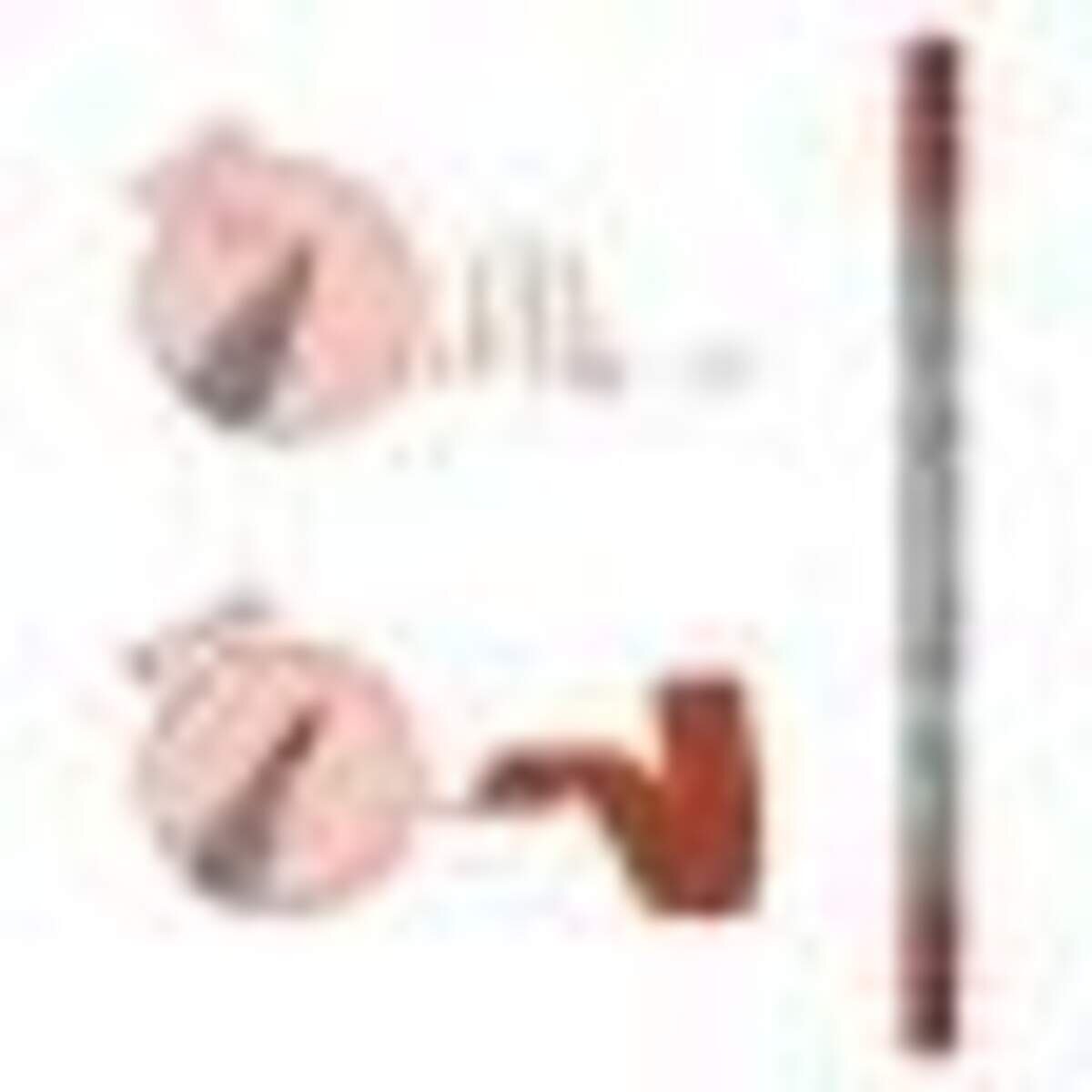 online-callibrush-pen-aubergine-289406A35.jpg
