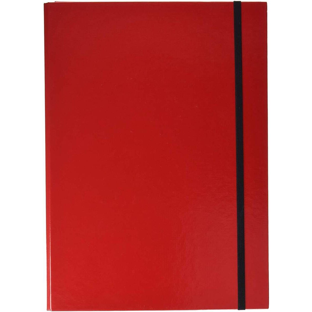 Pagna Heftbox "Basic Colours", DIN A4, rot