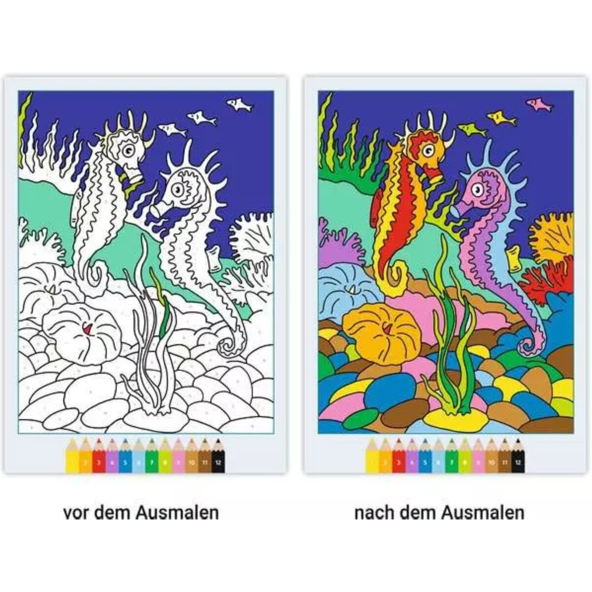 Ravensburger CreArt Malen nach Zahlen Im Meer Malbuch mit 24 Motiven