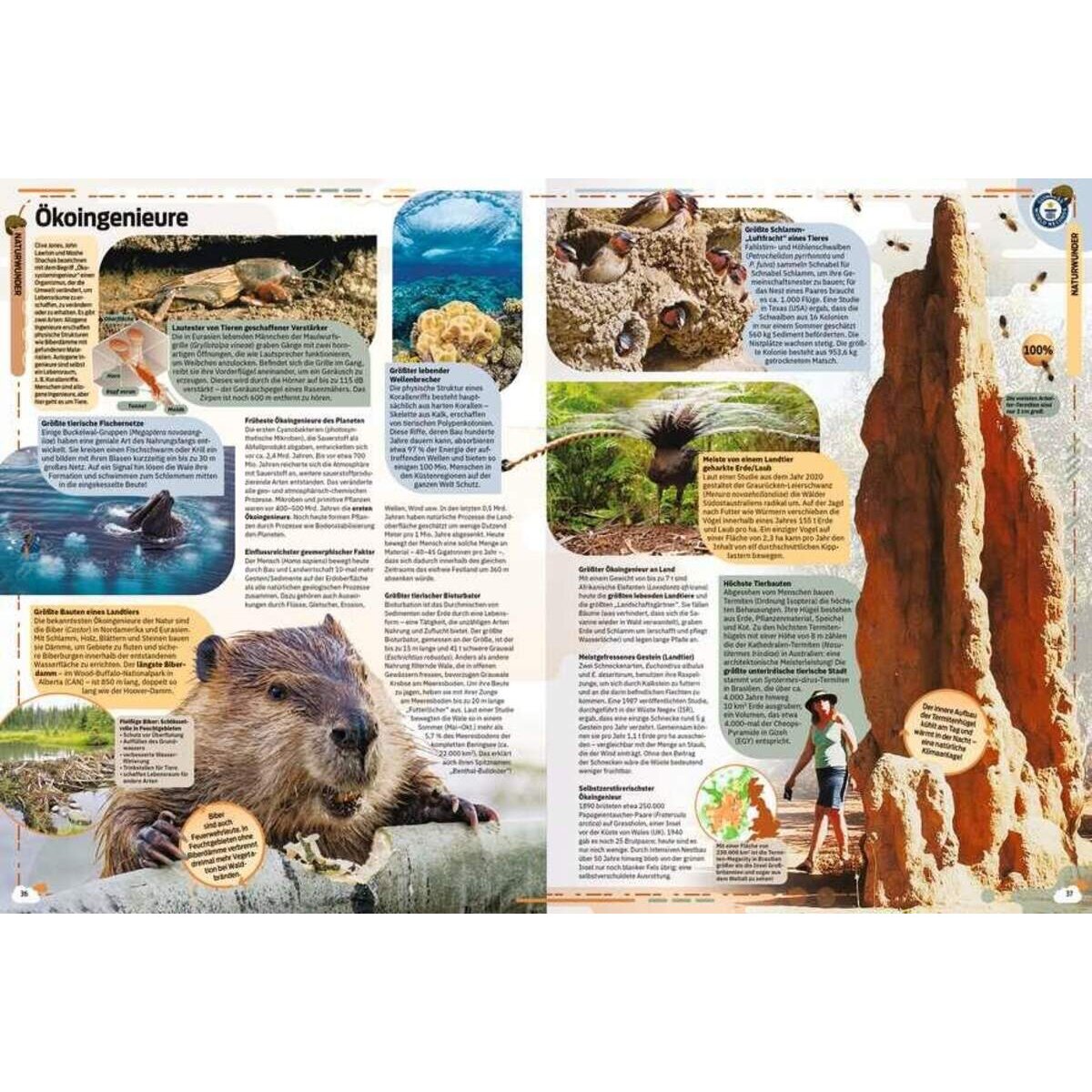 Ravensburger Guinness World Records 2022