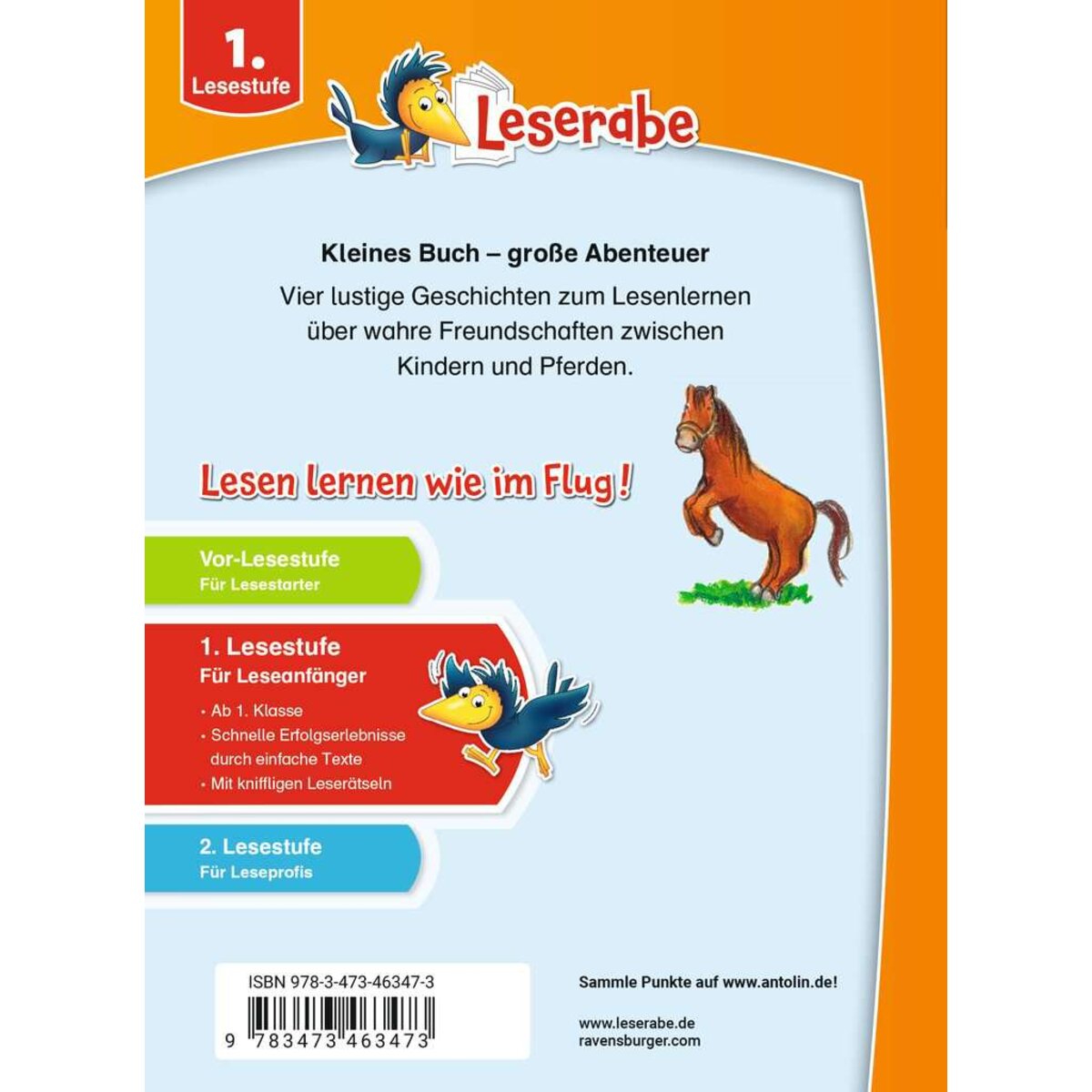 Ravensburger Leserabe - Sonderausgaben: Erstlesegeschichten - Ponys und Pferde