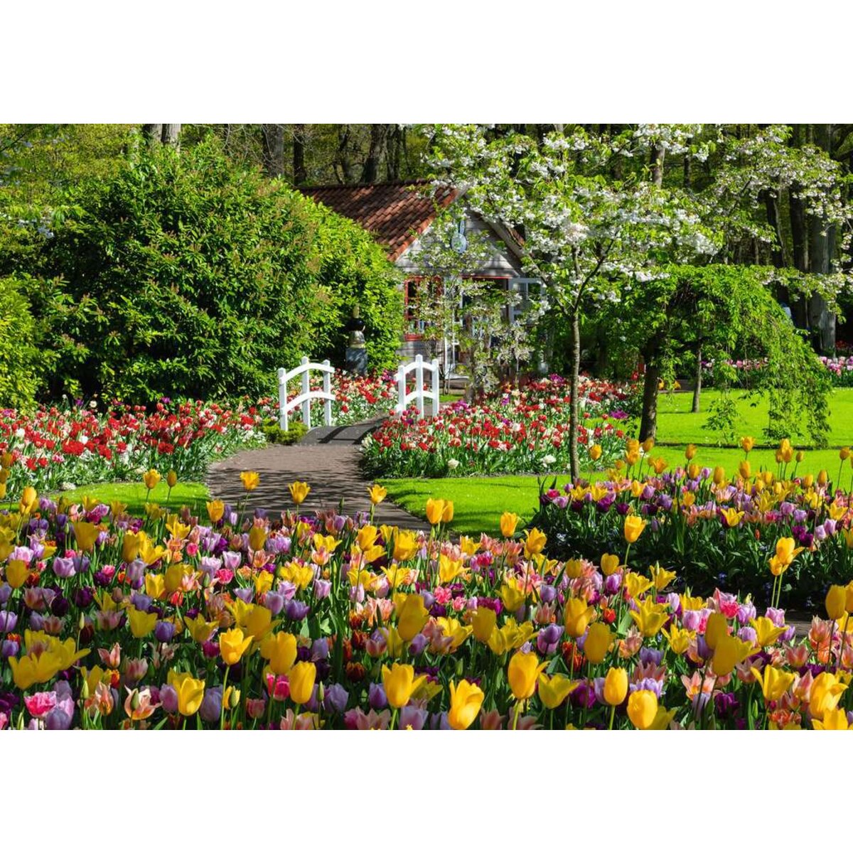Ravensburger Puzzle - Beautiful Garens: Keukenhof Gardens, Netherlands, 1000 Teile