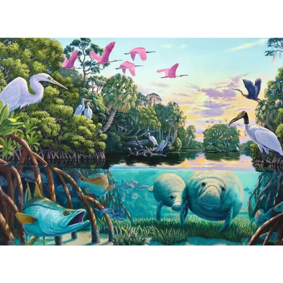 ravensburger-puzzle---manatee-B9D2D46C2.jpg