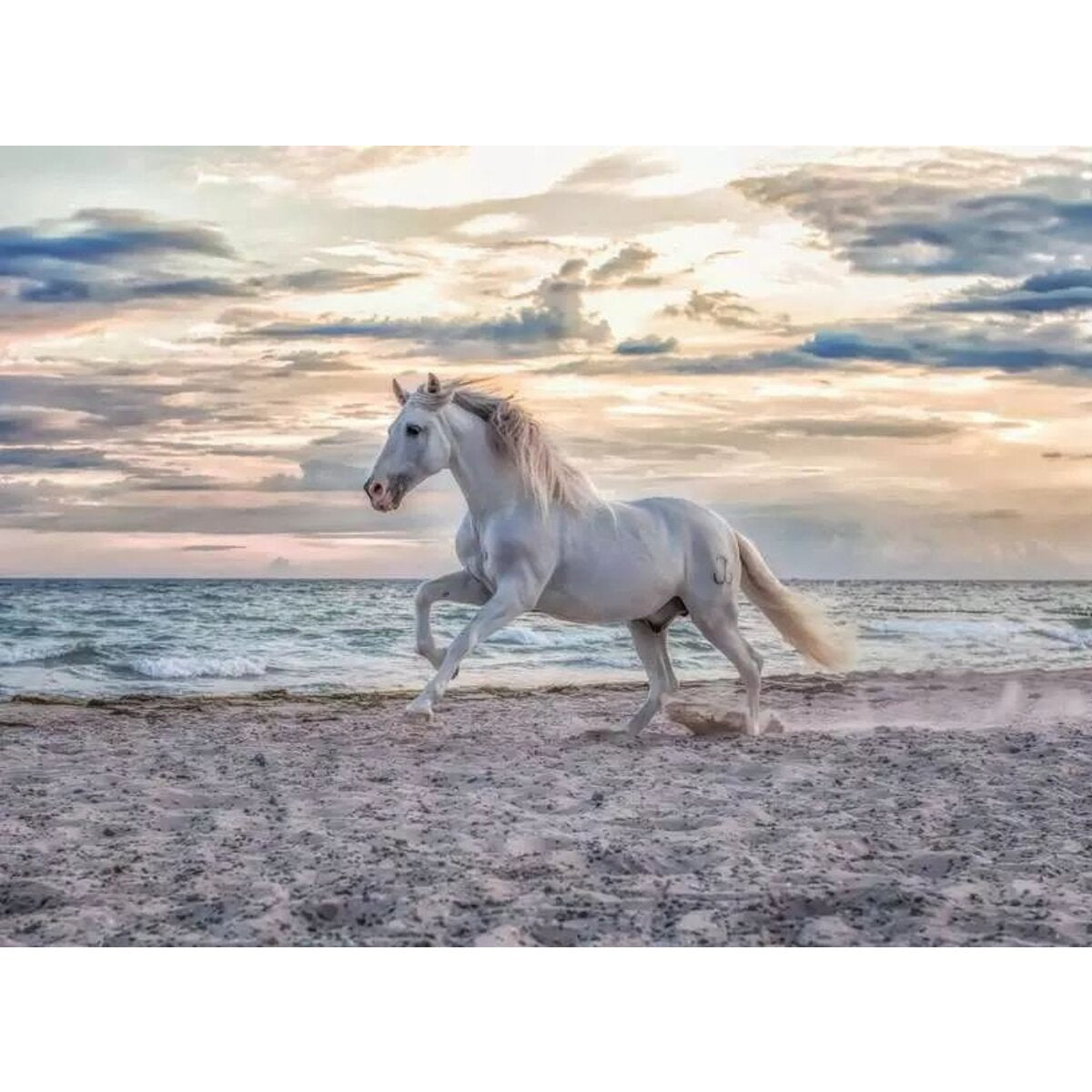 Ravensburger Puzzle - Pferd am Strand, 500 Teile