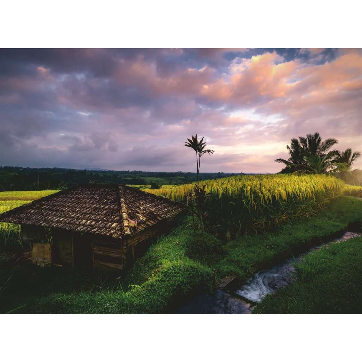 Ravensburger Puzzle - Reisfelder im Norden von Bali, 1000 Teile