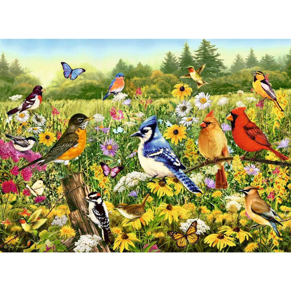 Ravensburger Puzzle - Vogelwiese, 1000 Teile