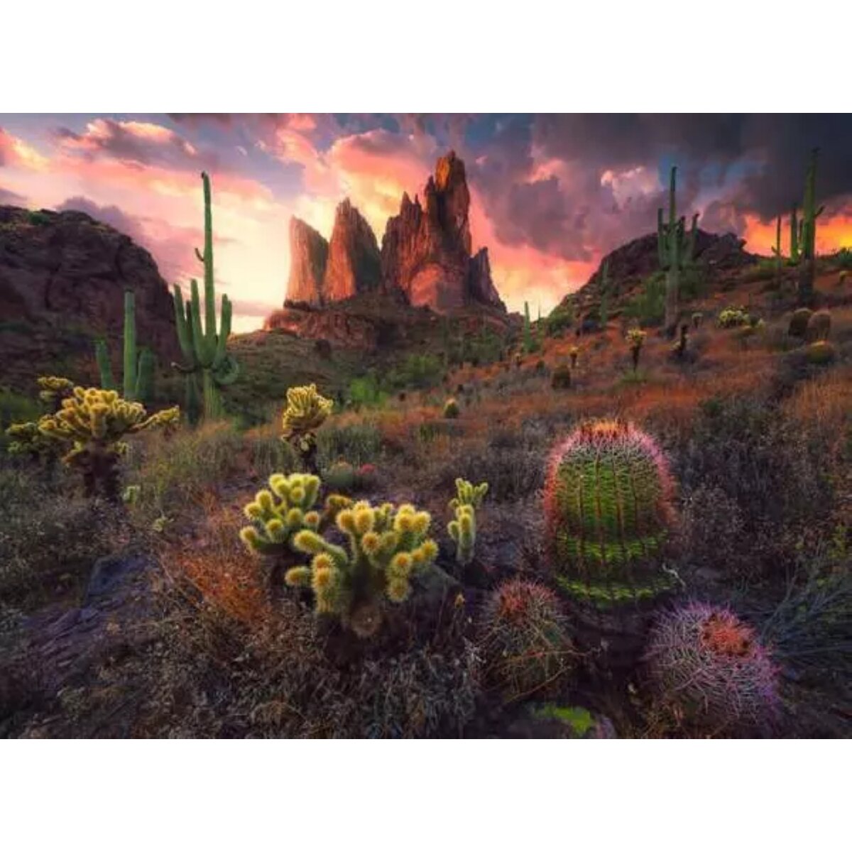 Ravensburger Puzzle 500 Teile Kakteen 49 x 36 cm
