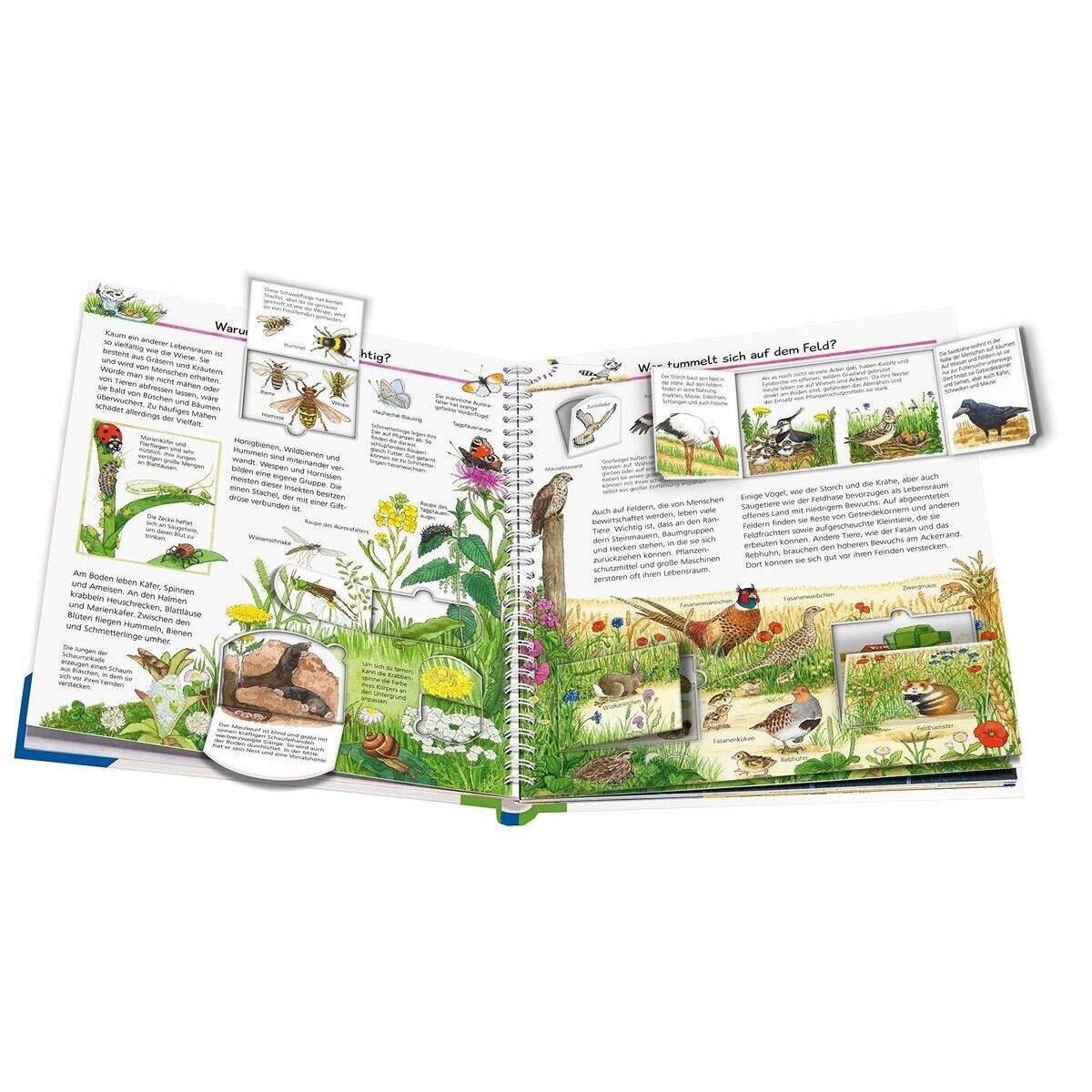 ravensburger-wieso-weshalb-warum-band-88C07B763.jpg