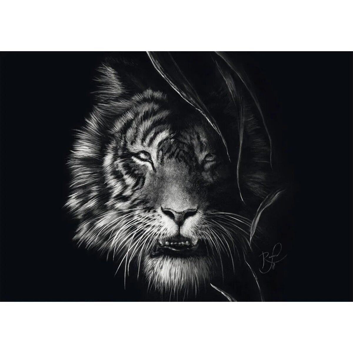 Schmidt Spiele Puzzle - Wilderness, Tiger, Im Zeichen der Freiheit, 1000 Teile