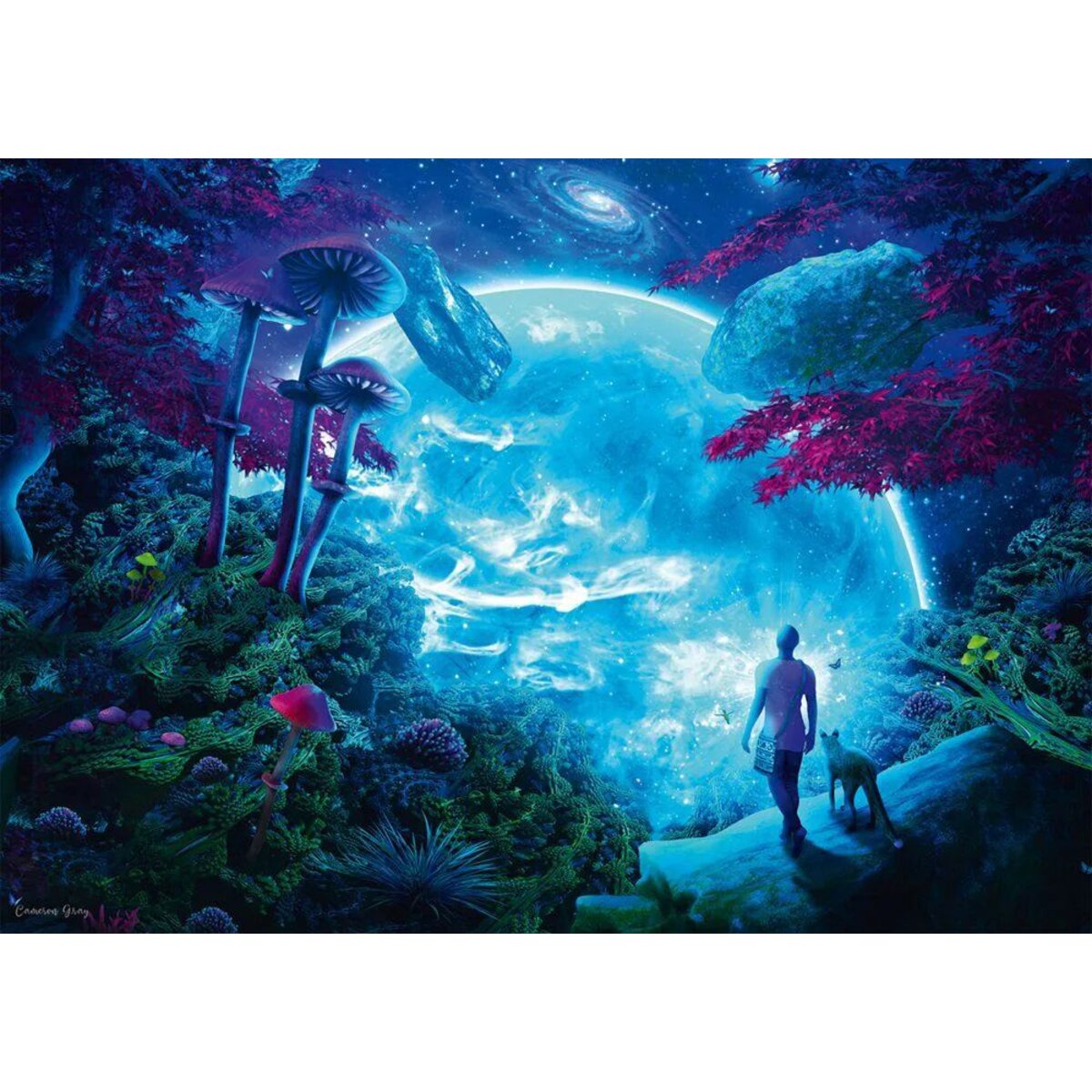 Schmidt Spiele Puzzle - Cameron Gray: Himmelsfantasie, 1000 Teile
