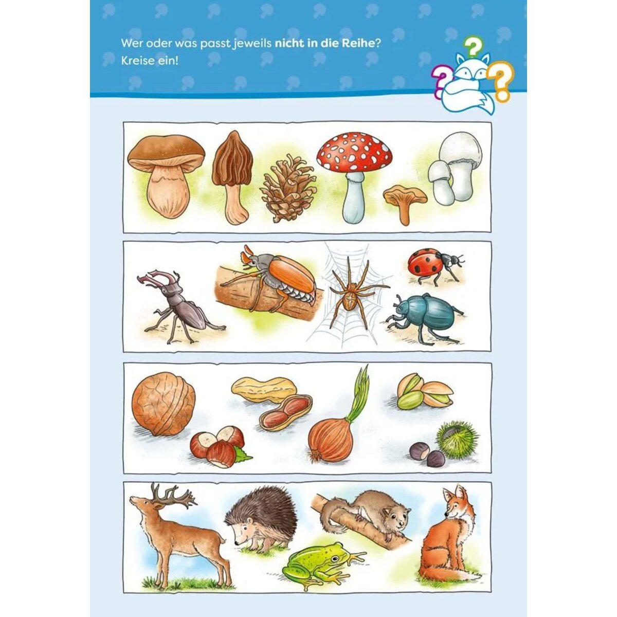 Tessloff Wald-und-Wiesen-Rätselspaß. Natur