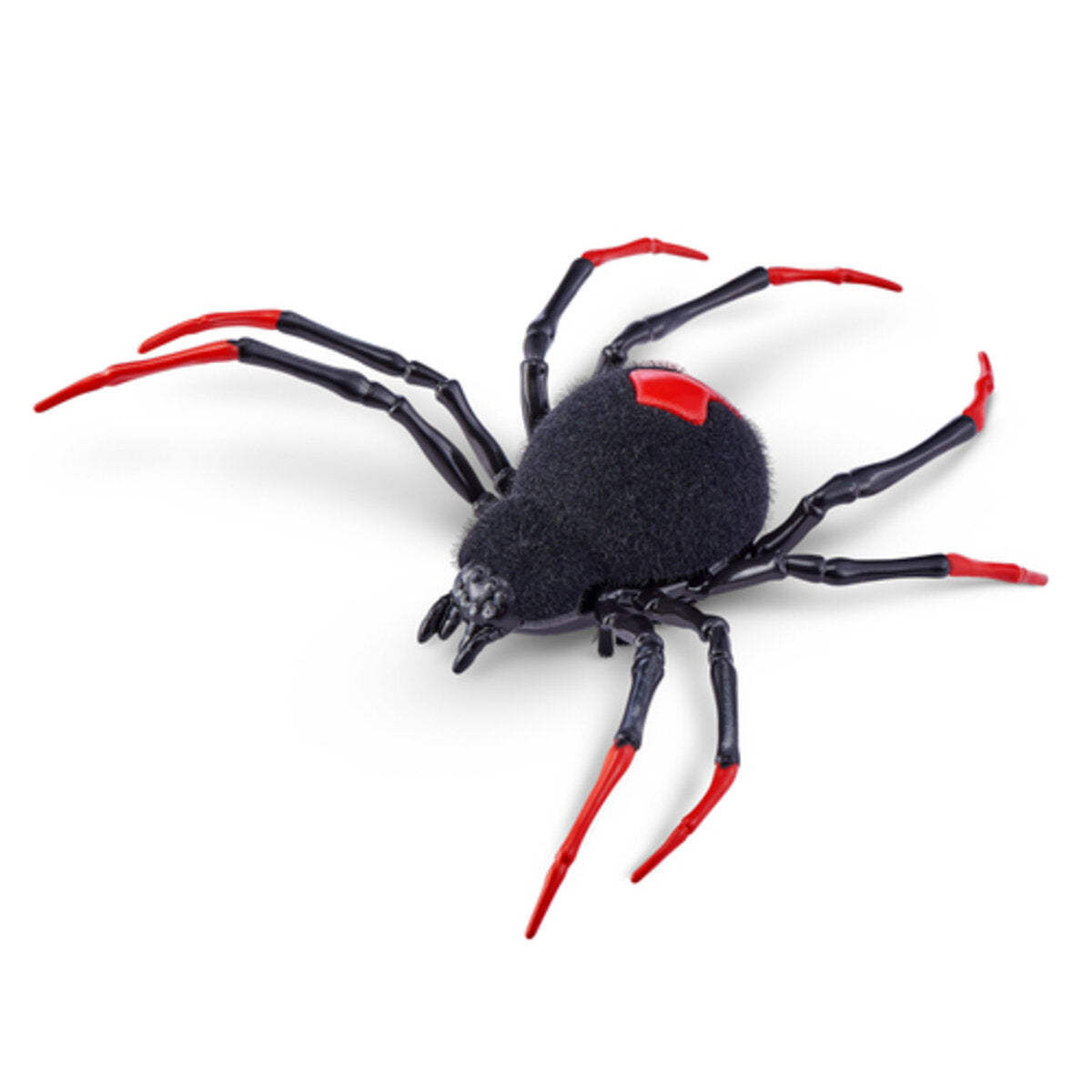 zuru-robo-alive-robotic-spider-FACB51B92.jpg