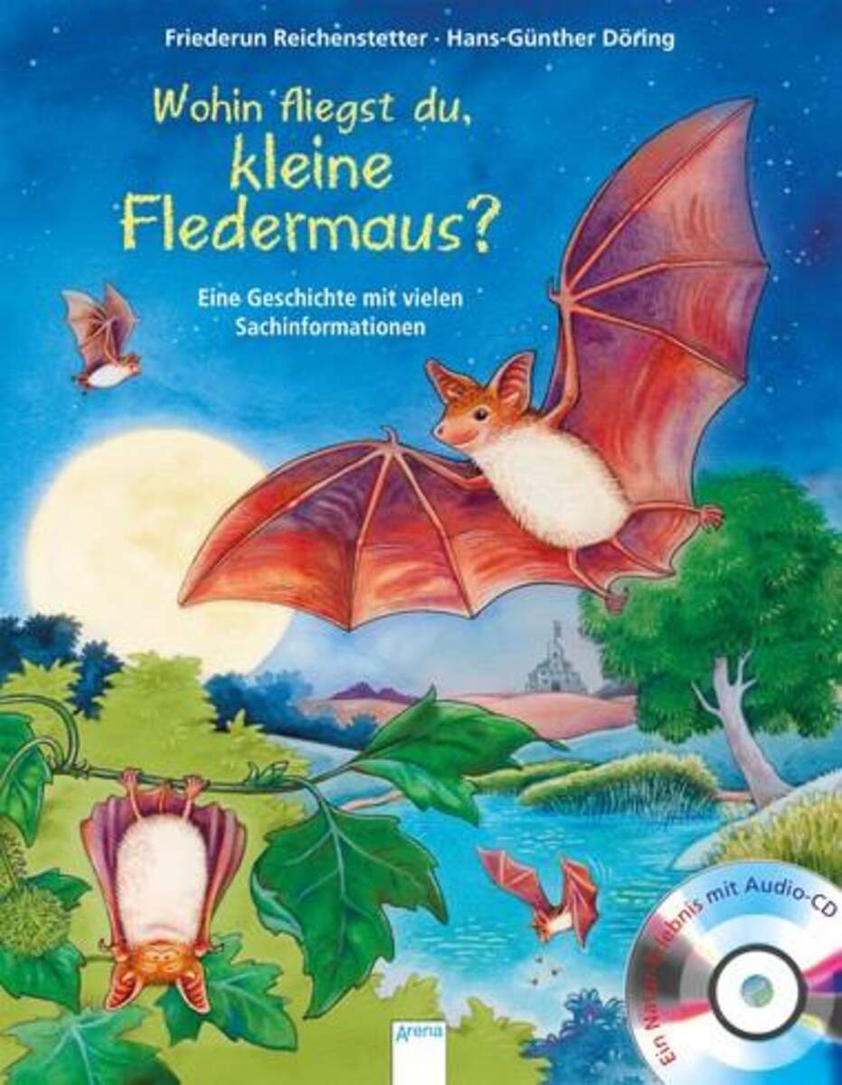 Arena Wohin fliegst du, kleine Fledermaus?