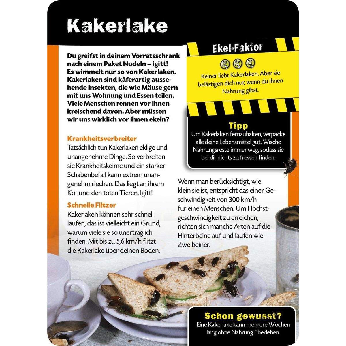 ars Edition Buch - Die 100 ekligsten Dinge der Welt