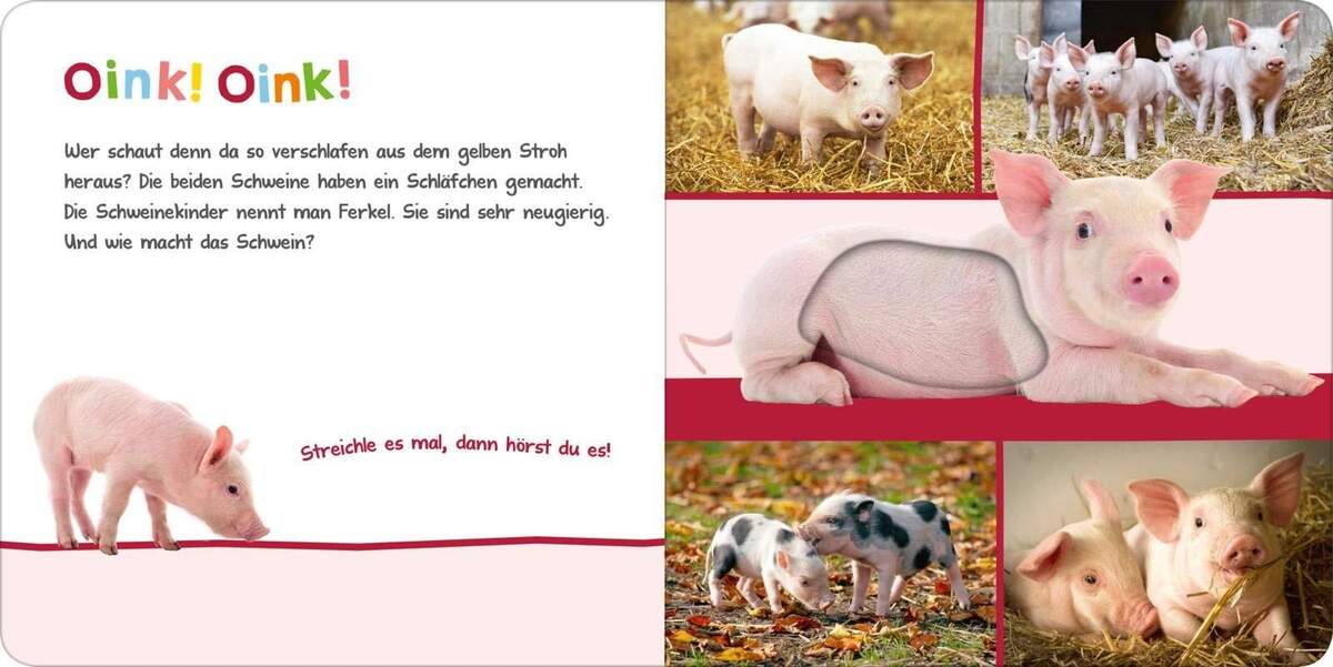 ars Edition Buch - Hör mal rein, wer kann das sein? Im Stall