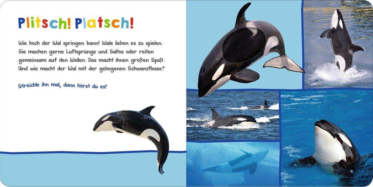 ars Edition Hör mal rein wer, kann das sein? Am Meer