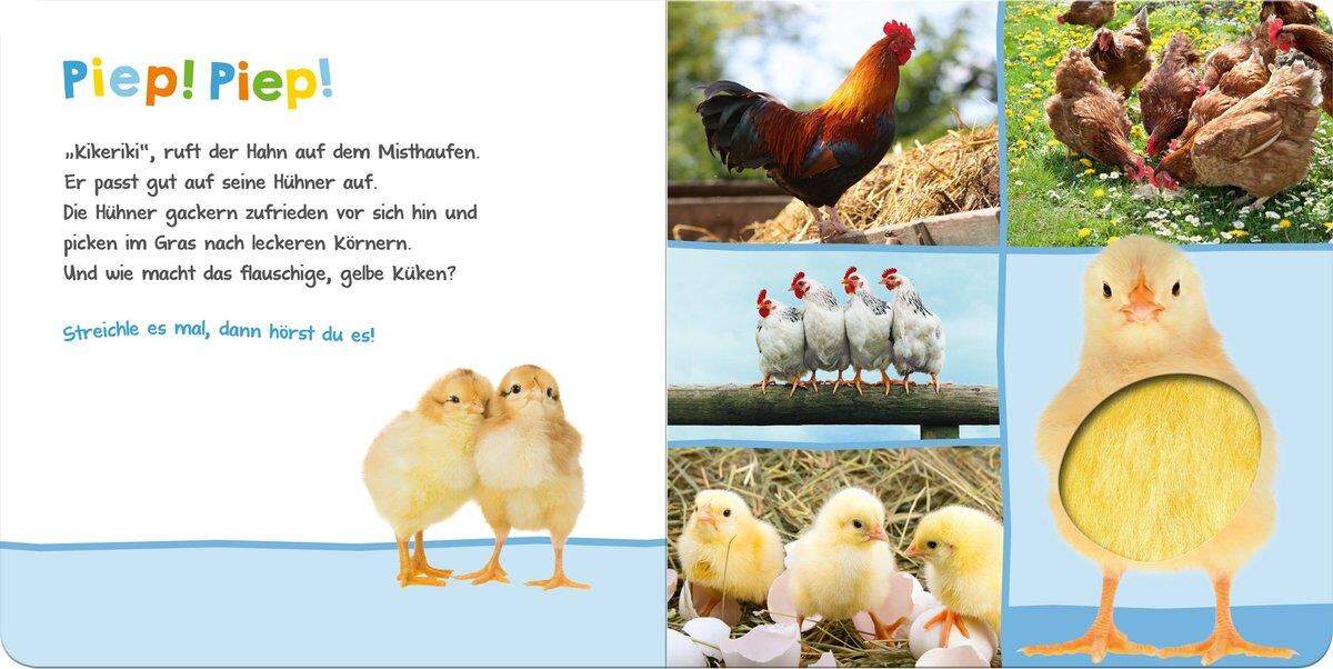 ars Edition Hör mal rein, wer kann das sein? Bauernhoftiere