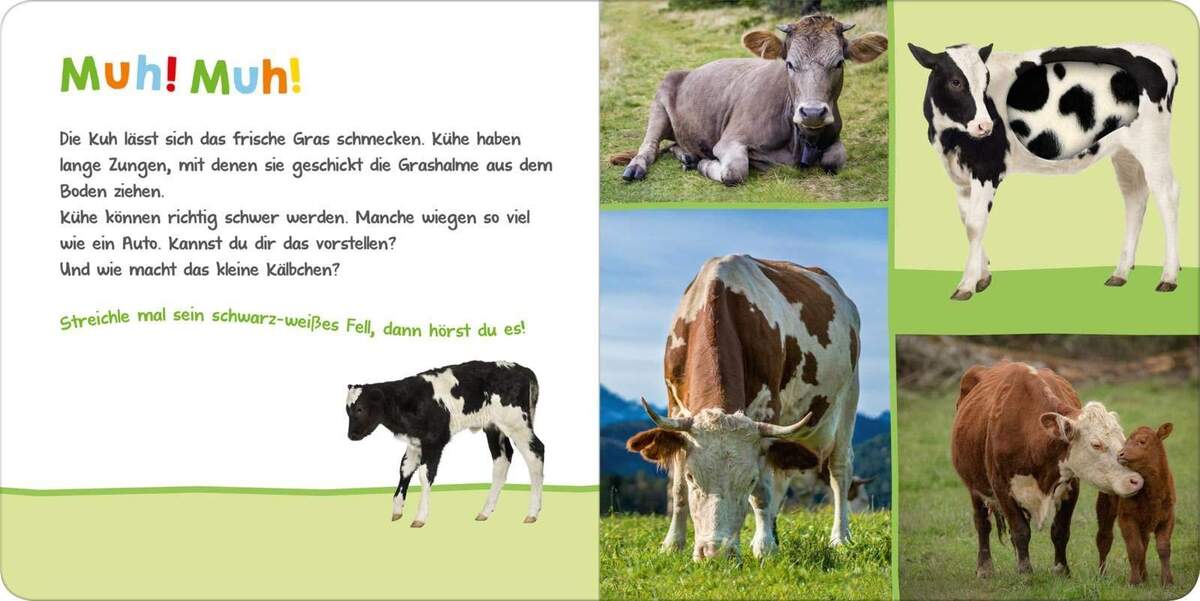 ars Edition Hör mal rein wer kann das sein? Auf der Weide