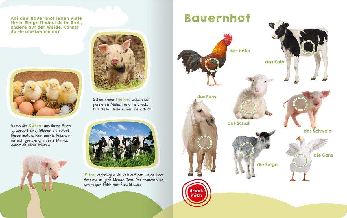 ars Edition Mein großes Buch der Tiergeräusche
