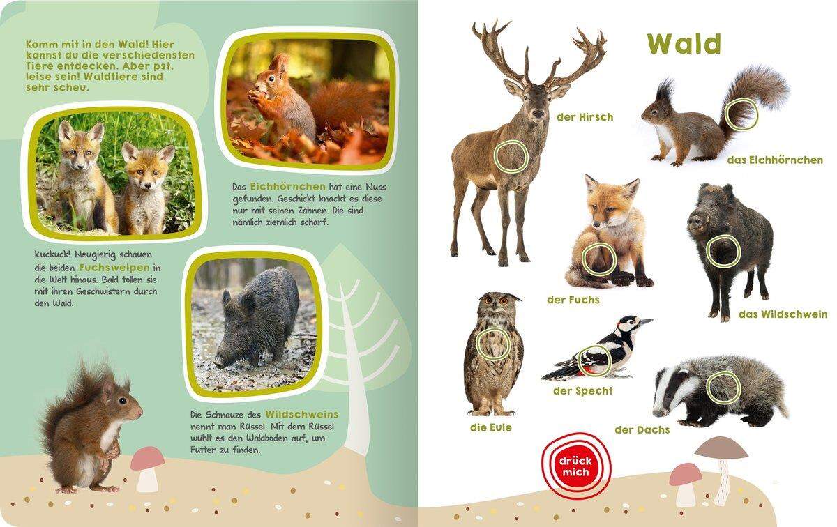 ars Edition Mein großes Buch der Tiergeräusche