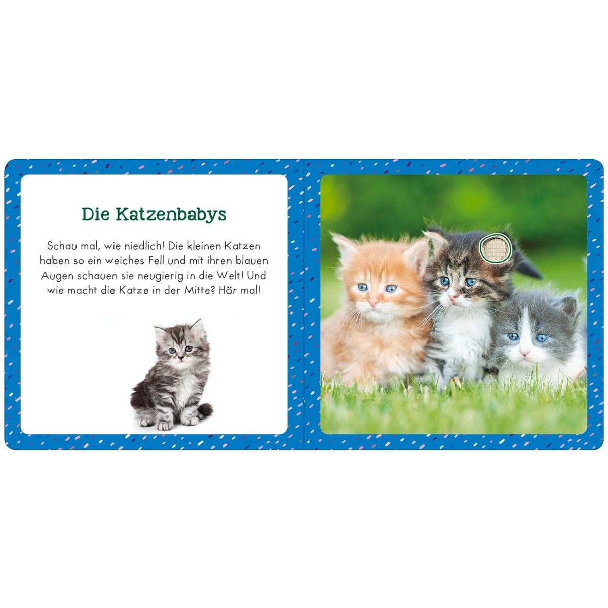 ars Edition Soundbuch für Klitzekleine – Kleine Tiere