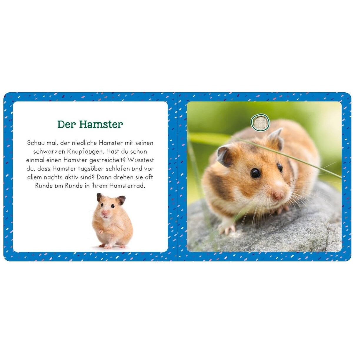 ars Edition Soundbuch für Klitzekleine – Haustiere