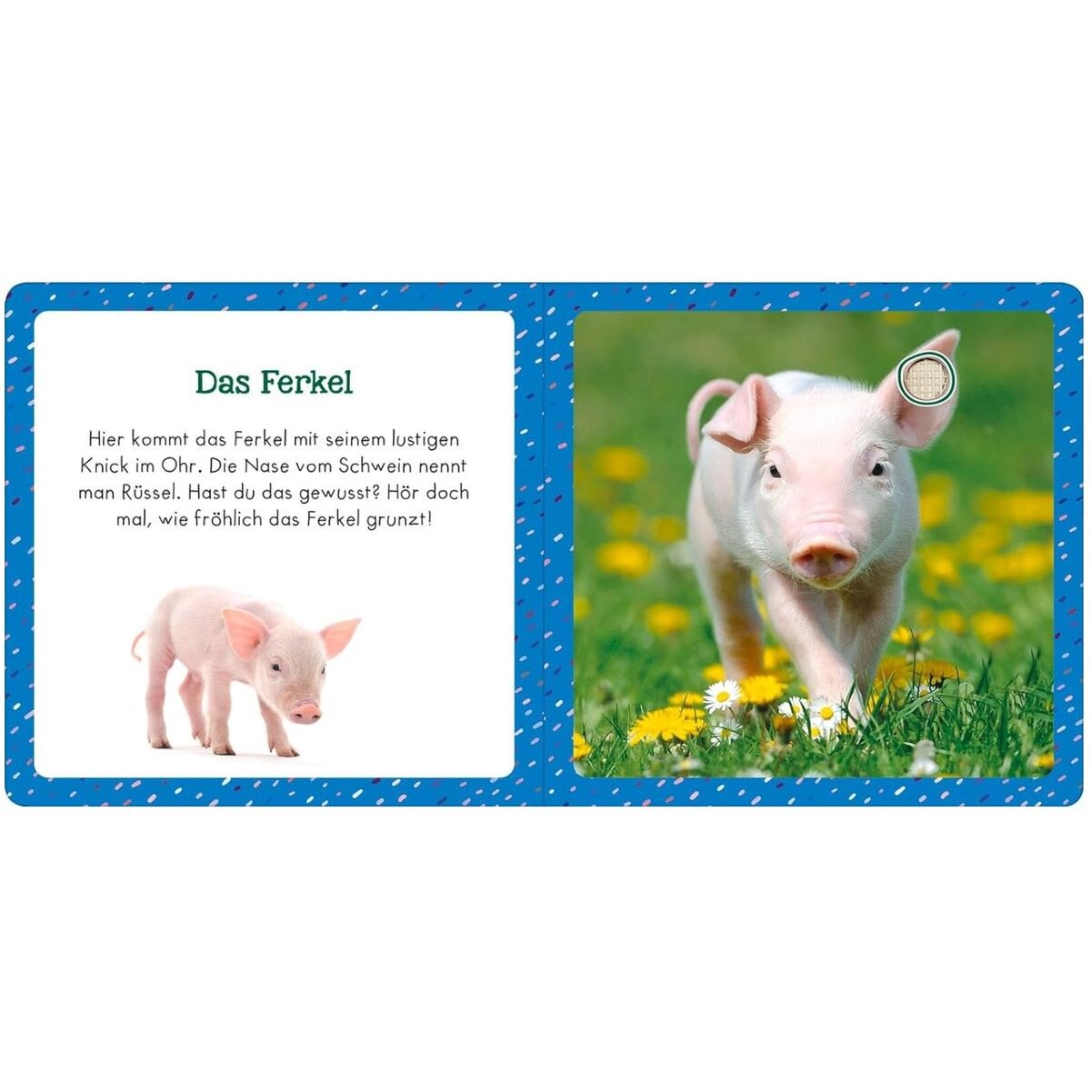 ars Edition Soundbuch für Klitzekleine – Bauernhoftiere