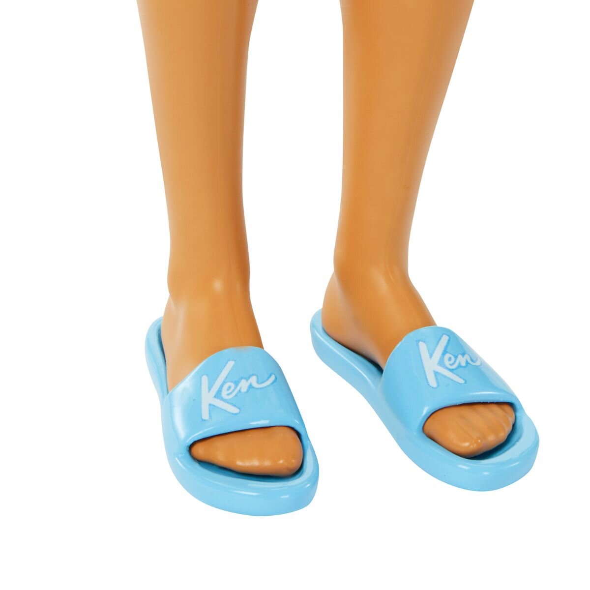 Barbie Strandtag Ken