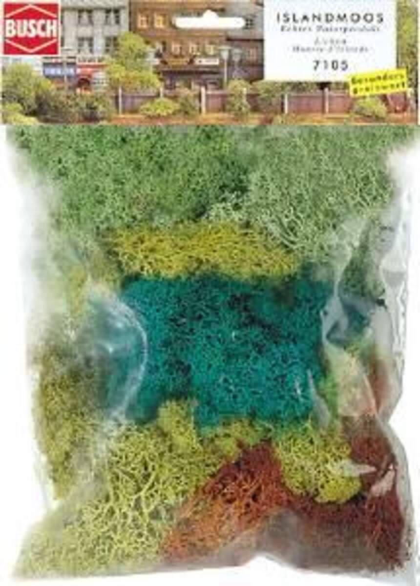 Busch Islandmoos