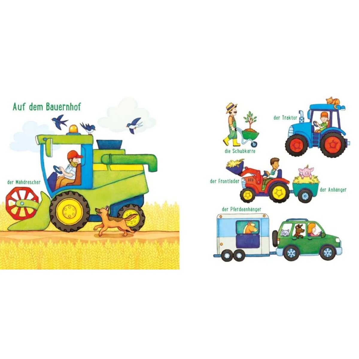 Carlsen Verlag Baby Pixi (unkaputtbar) 134: Mein Baby-Pixi-Buggybuch: Alle meine Fahrzeuge