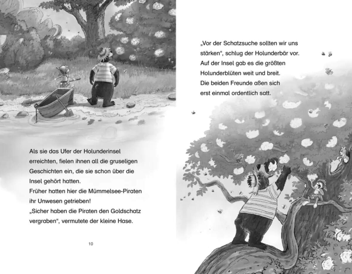 Carlsen Verlag Doppelband - Hase & Holunderbär: Der Schatz Holunderinsel / Der Dieb in der Heide
