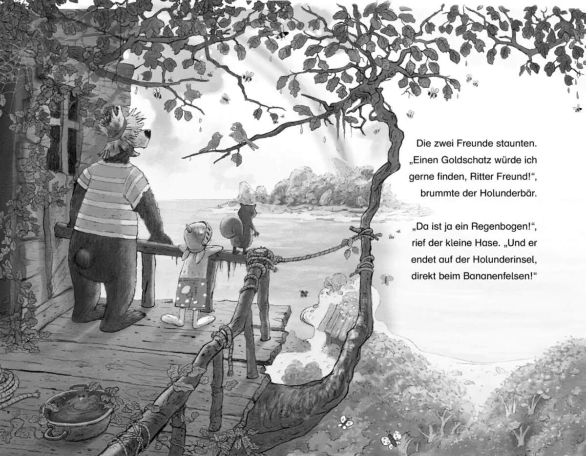 Carlsen Verlag Doppelband - Hase & Holunderbär: Der Schatz Holunderinsel / Der Dieb in der Heide