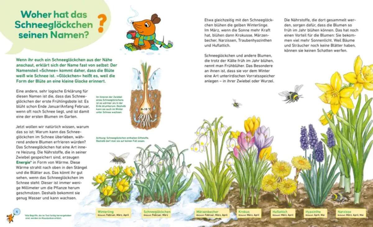 Carlsen Verlag Frag doch mal ... die Maus: In der Natur von Martina Gorgas, Jutta Knipping